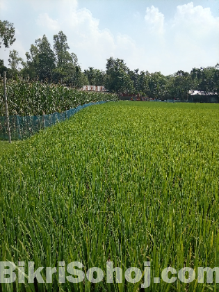 জমি বিক্রয়